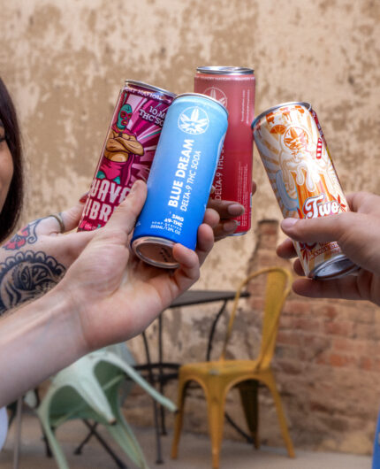 group of happy people cheersing with foundry sodas